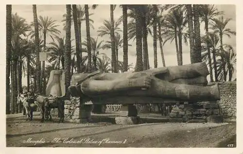 Egypt Memphis the colossal statue of Ramses II