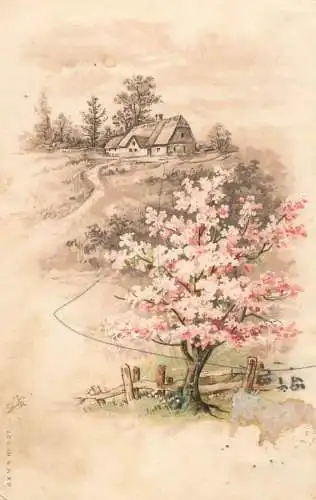 Blossom tree and landscape litho postcard