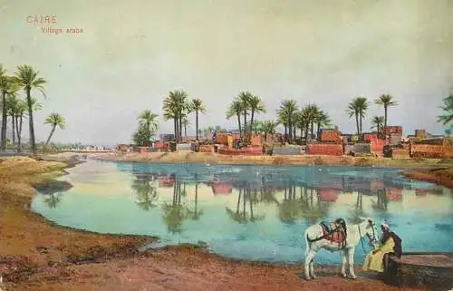 Egypt Cairo village arabe and donkey
