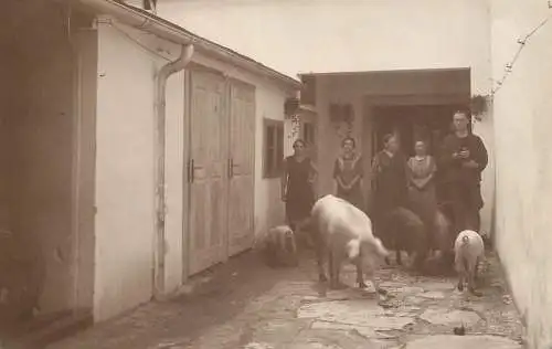Instant photography family social history Austria 1927 people and pigs