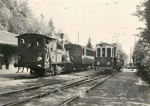 Transportation card Tramways Switzerland Uetliberg station 1923