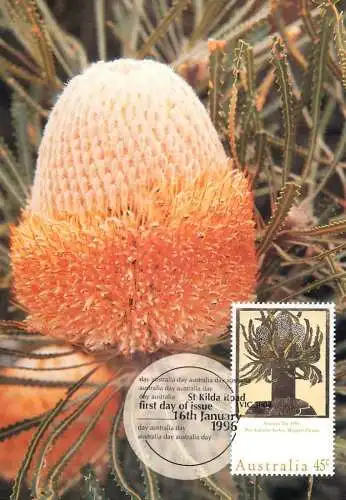 Australia Maxi Card St. Kilda Road first day of issue 1996 Hooker's Banksia