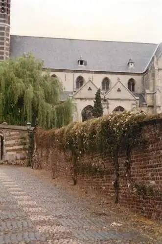 Netherlands Limburg Thorn Kodak photo Clematis Kloosterbern Thorn cathedral