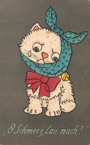 Katze "O Schmerz, lass nach!"