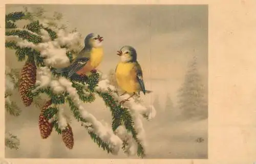 Drawn birds oiseaux 1941 winter seasonal greetings fantasy postcard