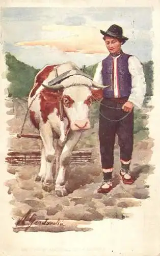 Morawskie typy ploughman cow traction ploughing folk type