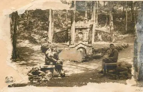 Hungary (damaged postcard)