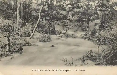 Missions des P. P. du Saint-Esprit le torrent