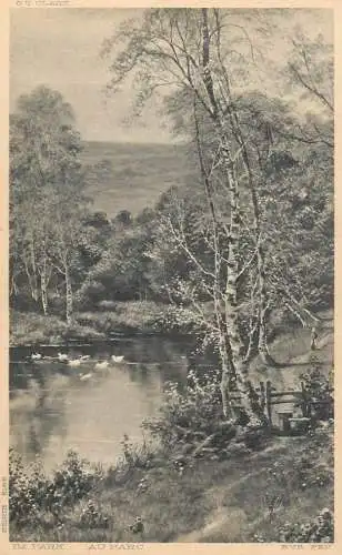 O.T. Clark - Im Park