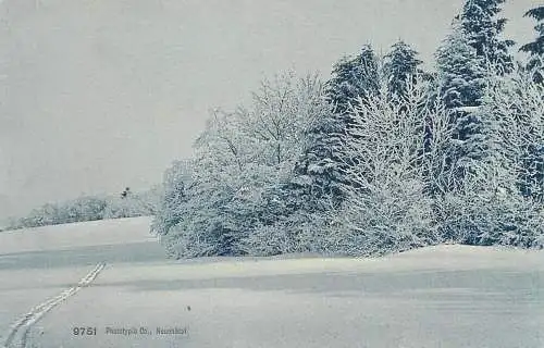 Switzerland > NE Neuchâtel Phototypie winter landscape