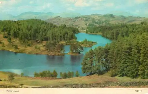 England Tarn Hows picturesque natural landscape