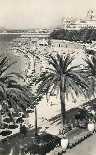 France postcard Var Saint-Raphaël la plage et les palmiers