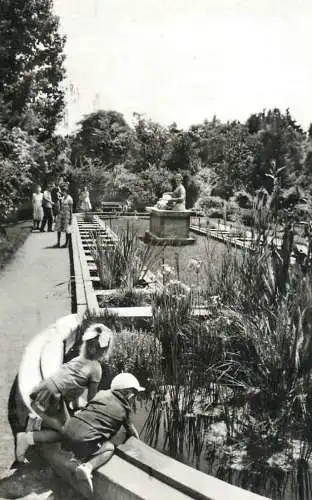 Postcard Romania Cluj-Napoca gradina botanica