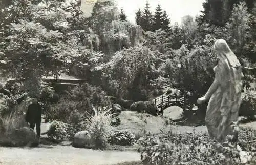 Postcard Romania Cluj-Napoca gradina botanica 1967