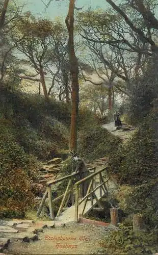 Postcard United Kingdom England Hastings Ecclesbourne Glen