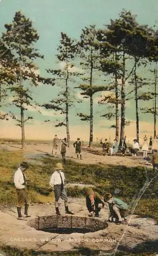 Postcard United Kingdom England Wimbledon common Caesar's well