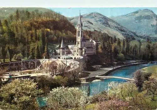 Postcard France Lourdes la basilique