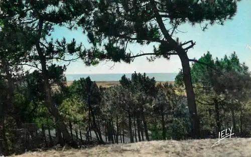 France postcard France La Faute sur Mer