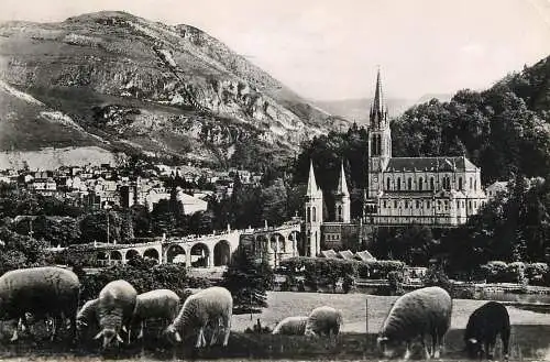 Postcard France Lourdes la basilique et le Pic du Jer
