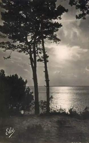 Postcard France Bassin d'Arcachon