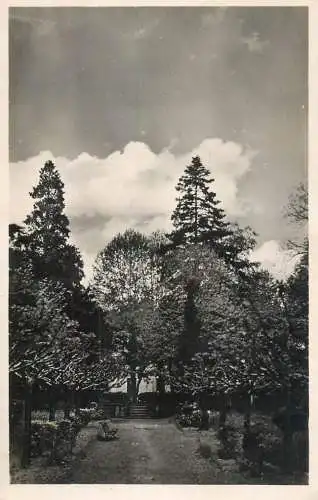 Postcard France Lot et Garonne > Lavardac le parc de la mairie 1955