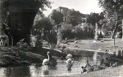 Postcard France Allier Vichy park