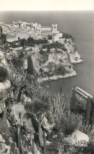France postcard Monaco le Rocher vu du jardin exotique