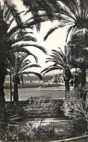 France postcard France Nice port et palmiers