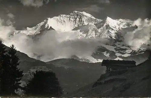 Postcard Switzerland Die Jungfrau im Abendlicht