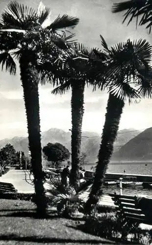 Postcard Switzerland Locarno lungolago