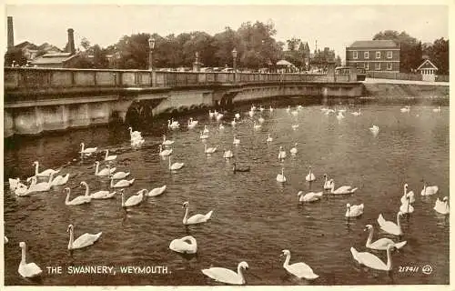 Postcard United Kingdom England Weymouth, Dorset swans