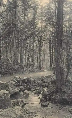 Belgium Spa Promenade Meyerbeer