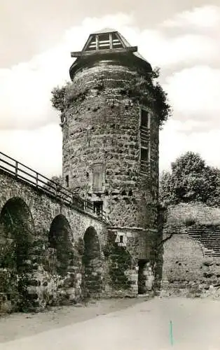 Germany postcard Zons am Rhein Muhlenturm