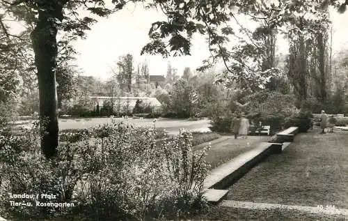 Germany postcard Landau Pfalz Rosengarten
