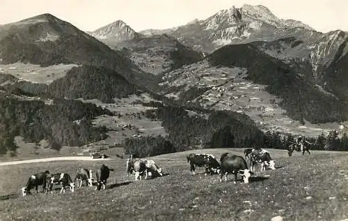 France postcard Haute Savoie Morzine paturages des maisons d'Zor
