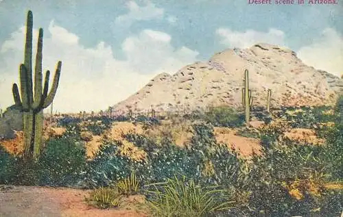 USA Desert scene in Arizona