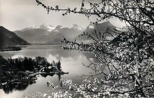 France postcard Lac d'Annecy chant du printemps