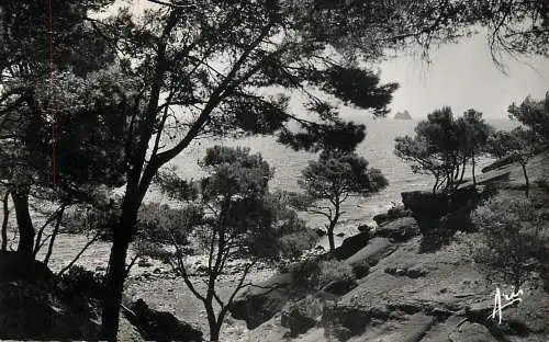 France postcard Cote d'Azur Calanques de Fabregas