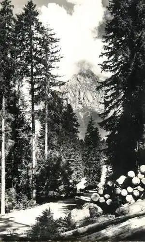 France postcard Haute Savoie > Abondance Les Cornettes de Bise