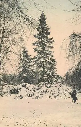 Germany postcard winter landscape