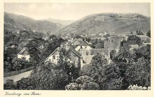 Germany postcard Ilsenburg im Harz