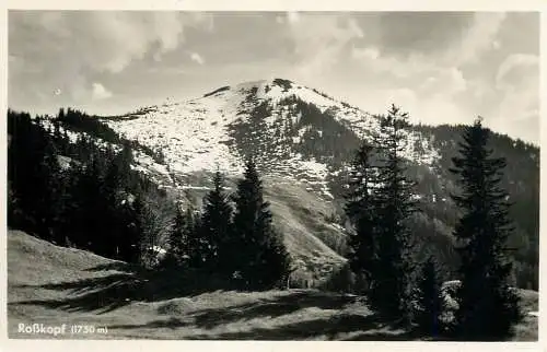 Austria postcard Rosskopf