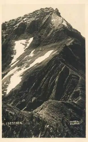 Austria postcard Freschen mountain view