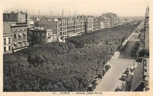 Postcard Tunisia Tunis avenue Jules Ferry