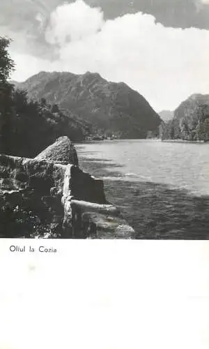 Postcard Romania Oltul la Cozia