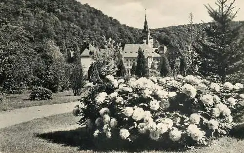 Postcard Hungary Lillafured palotaszallo