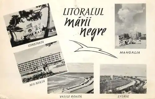 Postcard Romania litoralul Marii Negre butterfly stamp timbru fluture