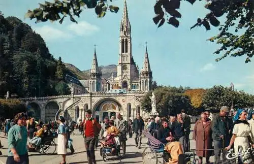 Postcard France Lourdes basilique