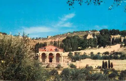 Postcard Israel Jerusalem basilica of the Agony