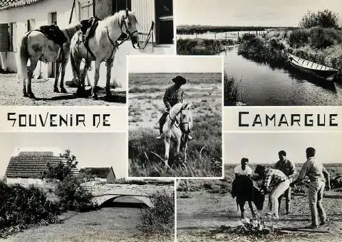 France Souvenir de Camargue